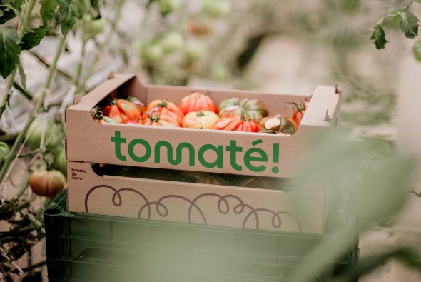 tomates originelles