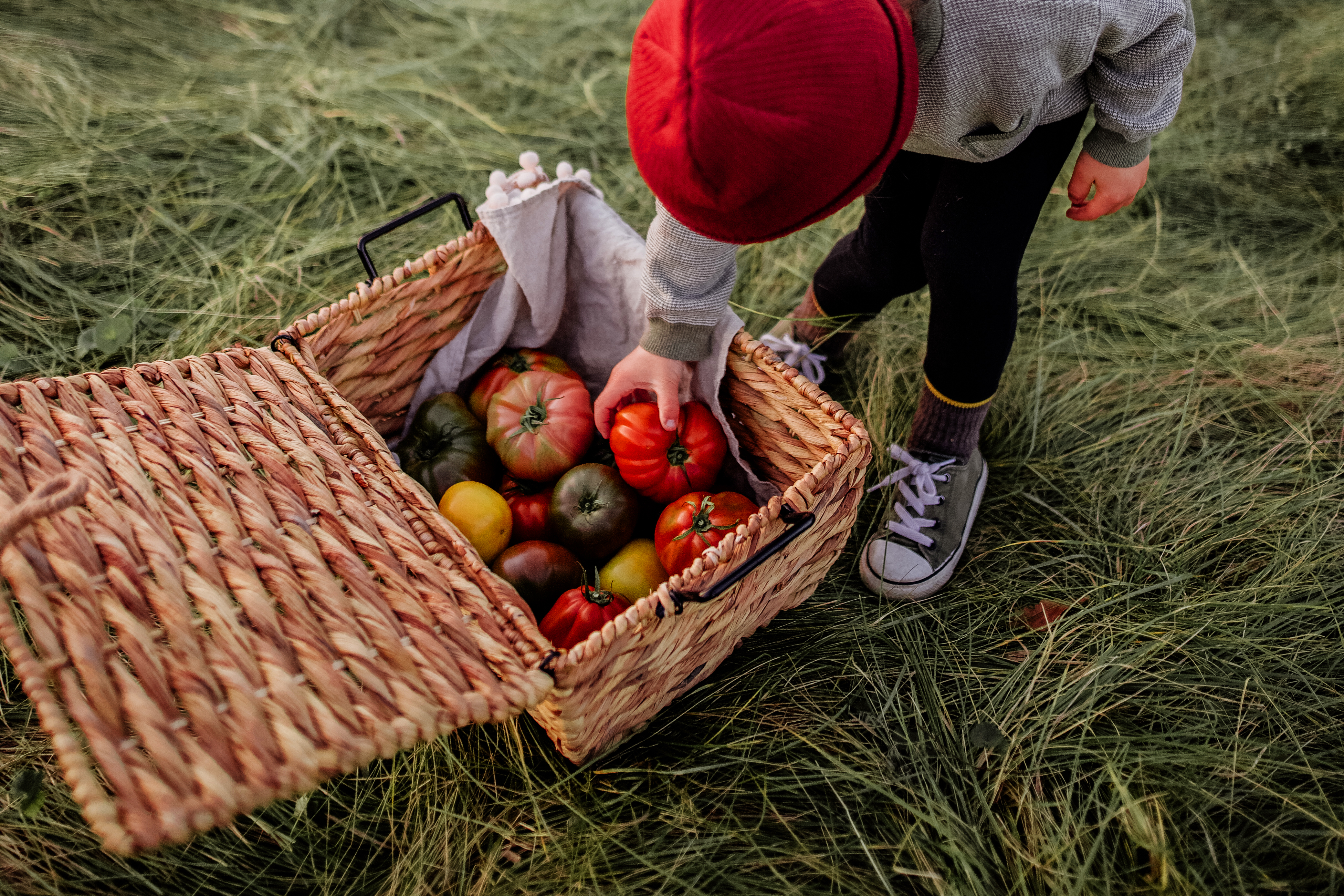 tomates originelles