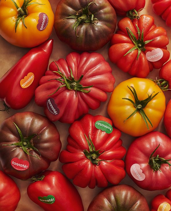 tomates originelles