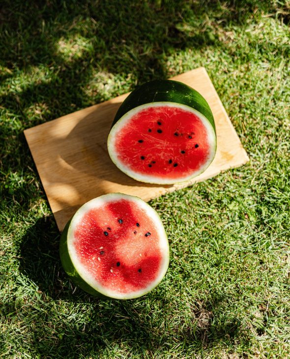 melon d'eau recette