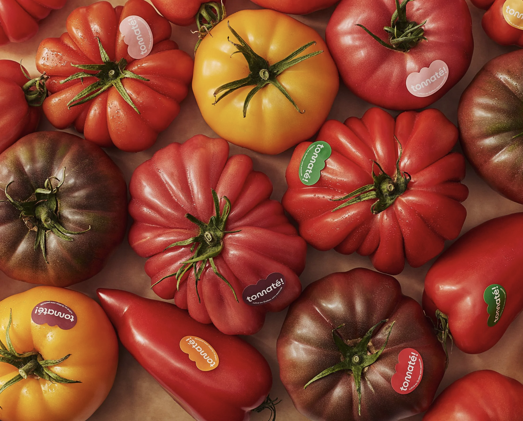 【美品】SHE Tokyo ニット Amelie tomato red 1サイズ Tomato - Rosita Brandywine Cherry - Common Sense Seeds